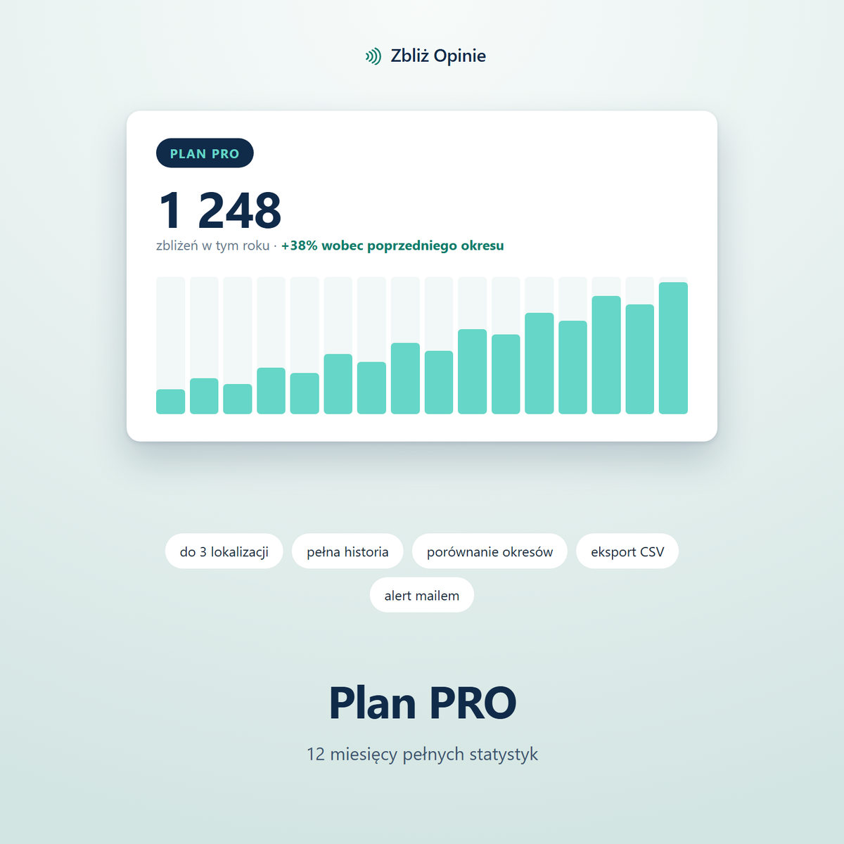 Plan PRO na 12 miesięcy